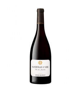 Domaine Aurore Bachelet Santenay 1er Cru "Clos des Mouches" 2021
