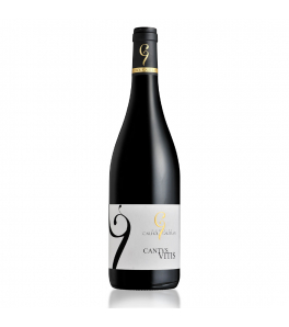 Domaine Cailhol Gautran Cantus Vitis