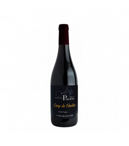 Domaine de la Paroisse Coup de Coeur Gamay Côte Roannaise