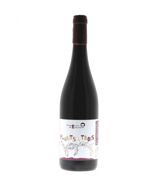 Domaine De Rocheville "L'impertinent plants à trois" Vin de France 2023