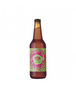 Brasserie Hoprock - bière Acid Twister